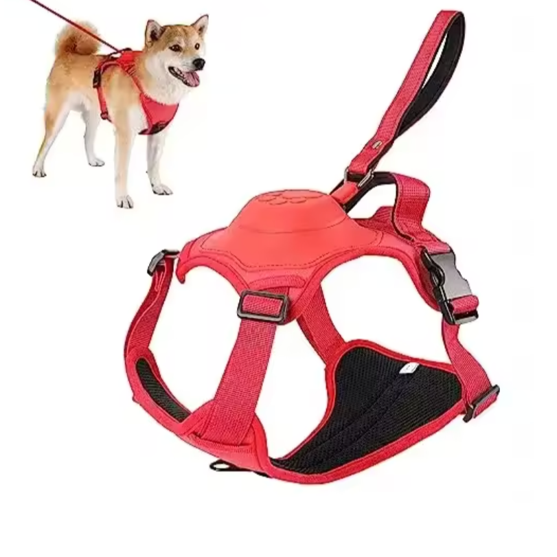 FreedomFlex Pro – Die flexible Lösung für aktive Hunde