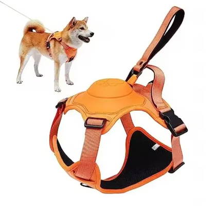 FreedomFlex Pro – Die flexible Lösung für aktive Hunde