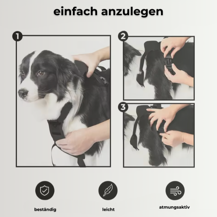 FreedomFlex Pro – Die flexible Lösung für aktive Hunde